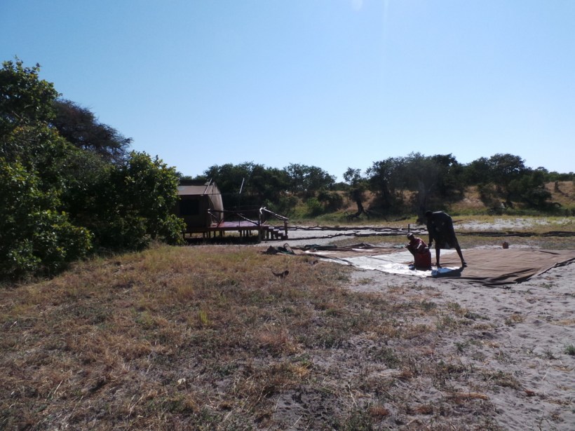 One of the tents being erected - apparently they will be starting with 10 