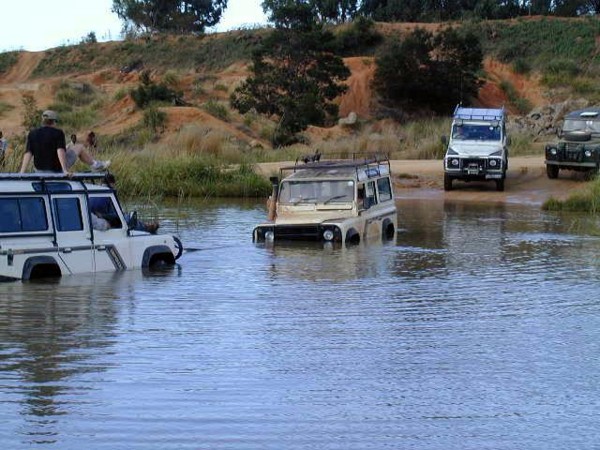 Someone coming my rescue - Filly I think