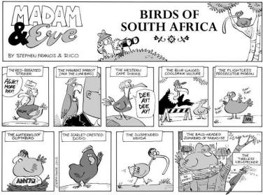 Birds of South Africa