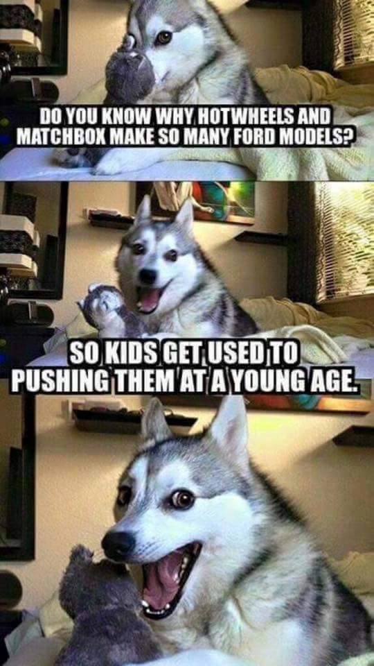 8620_607189916099136_7598401358460989446_n