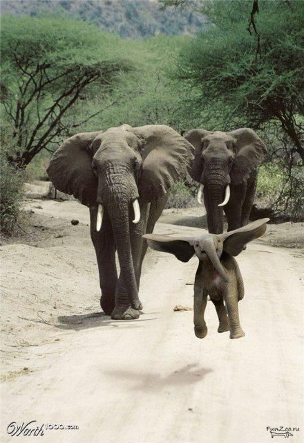 aa287b5d8b29c9bf5348ce3393bb1bf6