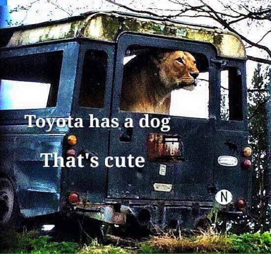 FB_IMG_1435554466378