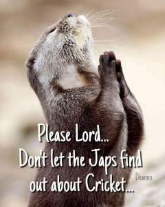 FB_IMG_1442776250135